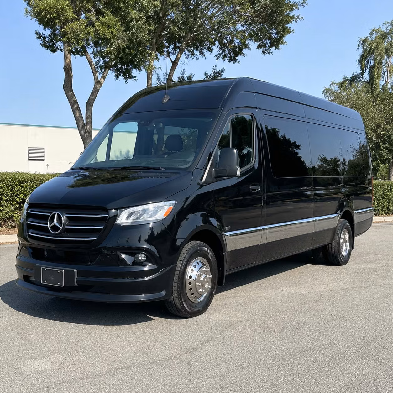 new braunfels event transportation services